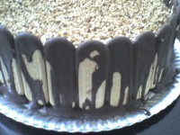 /album/galeria-de-fotos-imagens/dsc00399-jpg/