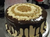 /album/galeria-de-fotos-imagens/imagescaz31e30-jpg1/