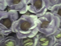 /album/doces/dsc00387-jpg/