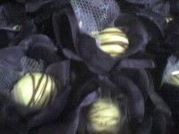 /album/doces/dsc00392-jpg1/