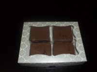 /album/brownie/a100-1508-jpg/